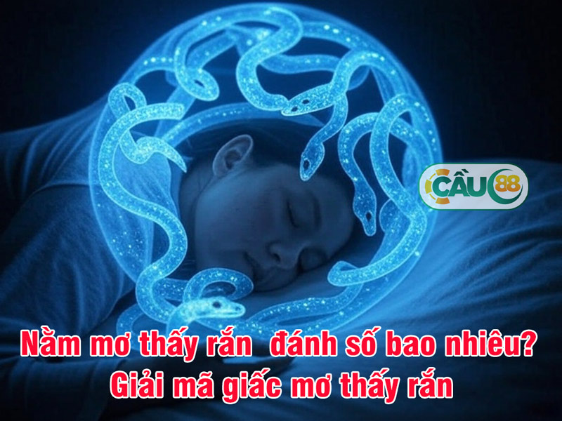  Đánh số bao nhiêu khi nằm mơ thấy rắn? Điềm báo gì khi chiêm bao thấy rắn?