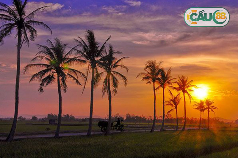 Mơ thấy về quê lúc hoàng hôn
